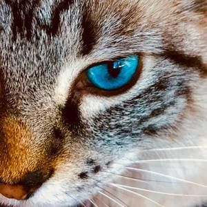 Meet your Posher, Cathleen